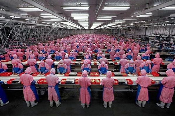factory assembly line